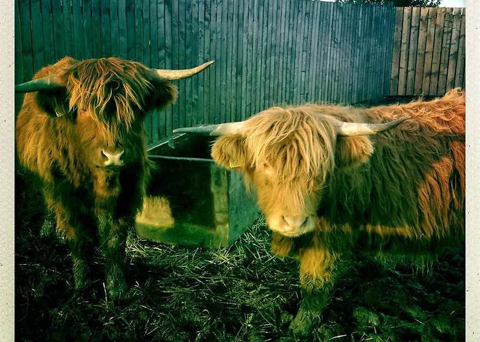 Bed & Breakfast The Stables At The Vale Yarm