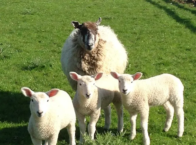 The Stables At The Vale Bed & Breakfast Yarm