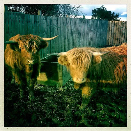 Bed and Breakfast The Stables At The Vale Yarm