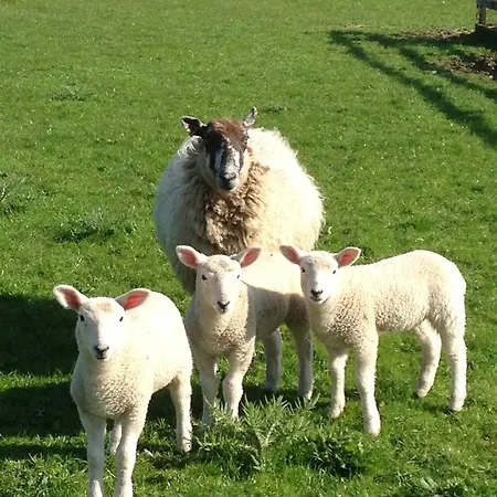 The Stables At The Vale Bed and Breakfast Yarm